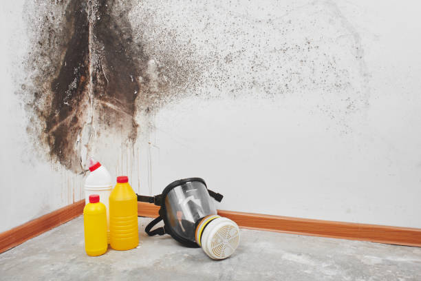 Best Mold Remediation for Healthcare Facilities  in Tahoe Vista, CA