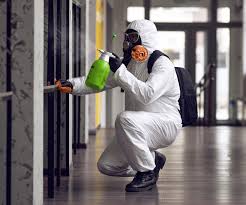 Best Emergency Mold Remediation  in Tahoe Vista, CA